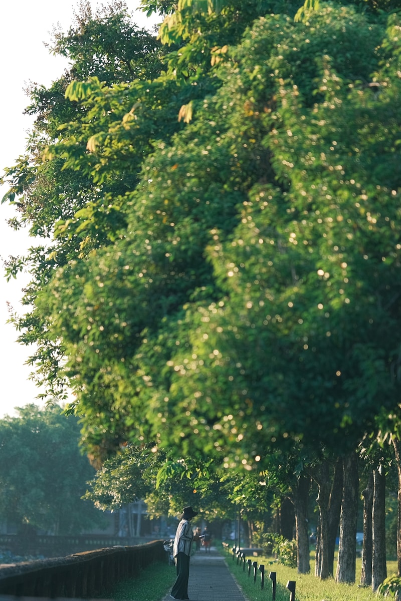Bezienswaardigheden in Giethoorn voor gezinnen