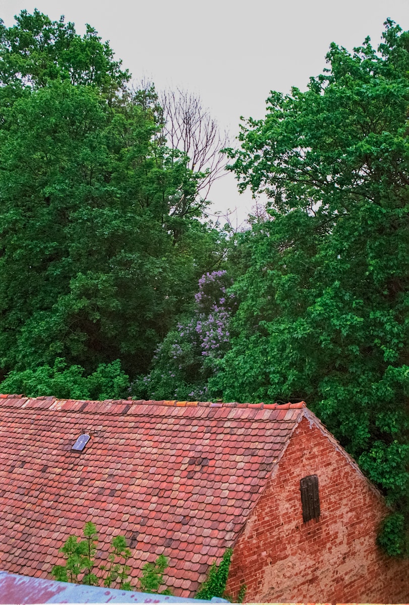 De ontwikkeling van Giethoorn door de eeuwen heen